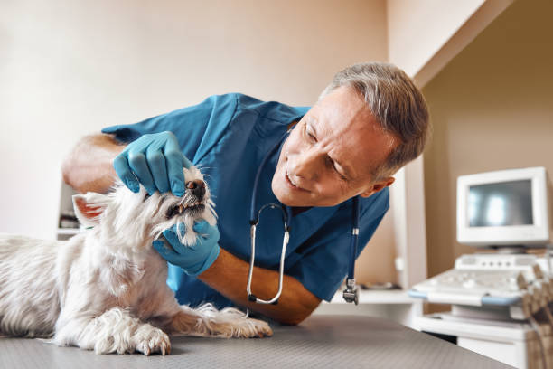  Sanford, FL Emergency Dentist Pros